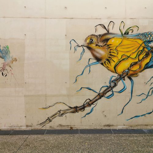 Un oiseau sur sa branche à l'hôpital Saint-Antoine à Paris en novembre 2019 dans le cadre du festival Street-Art à l'hôpital #2